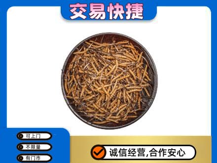 安庆高价回收散虫草